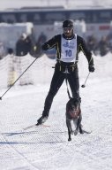 Lenk 2013